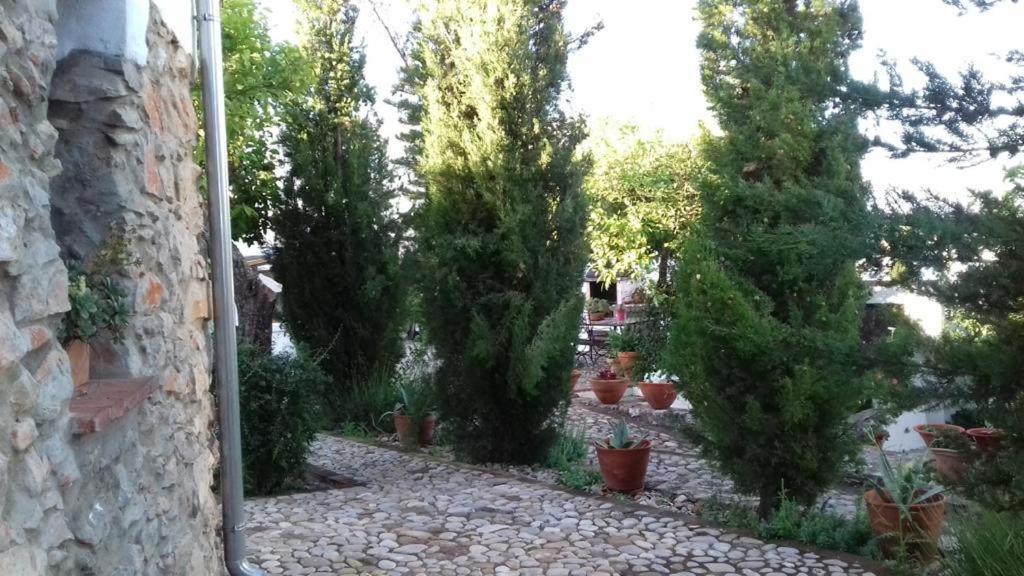 Villa Casas De Almajar Prado Del Rey Exterior foto