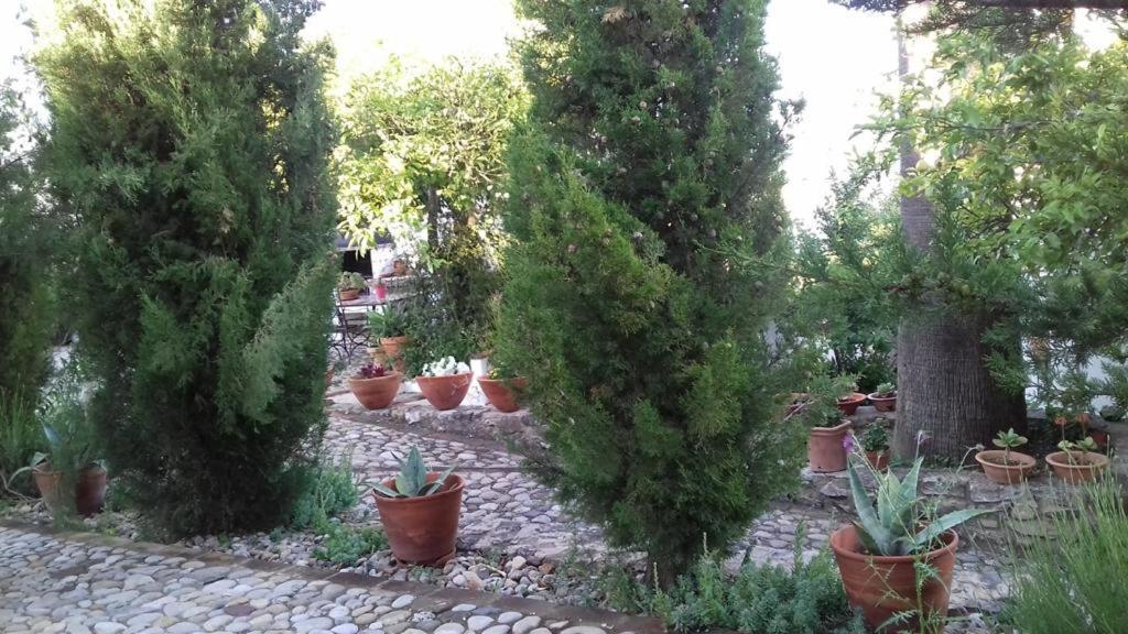 Villa Casas De Almajar Prado Del Rey Exterior foto